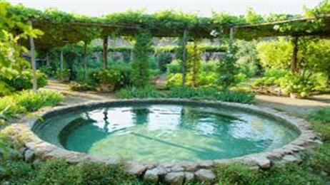  tuin
