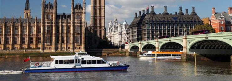 City Cruise