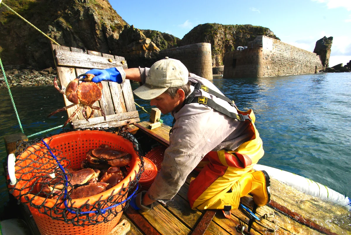 Sark impressie 3